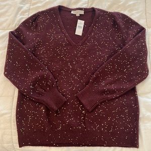Loft Embellished Sweater